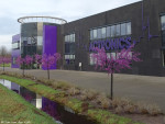 Bornerbroeksestraat 459F